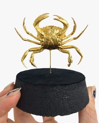 Image 2 of Crab globe