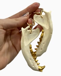 Badger jaw earrings