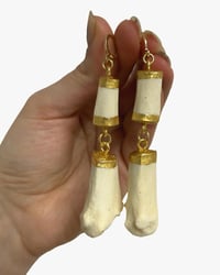 Badger bone earrings 