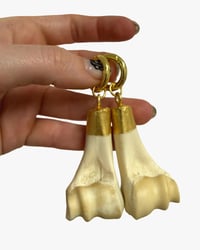 Deer bone earweights I