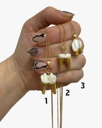 Image 2 of Deer Tooth Necklaces
