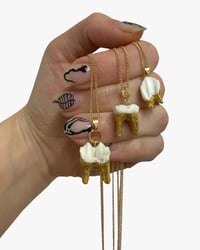 Image 1 of Deer Tooth Necklaces