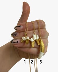 Image 2 of Fox/Badger Tooth Necklaces