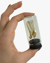 Mini sheep tooth dome I