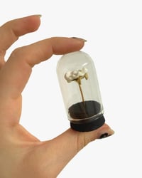 Mini badger tooth dome