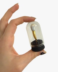 Mini deer tooth dome