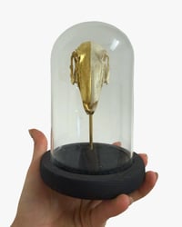 Image 3 of Hare Skull dome