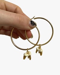 Fox teeth hoops II
