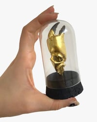 Image 2 of Crab claw dome