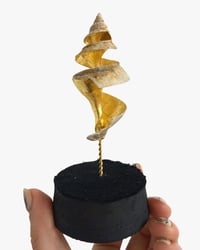 Image 1 of Spiral whelk dome