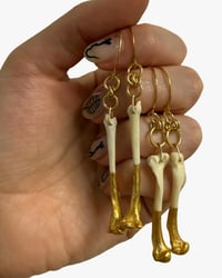 Image 1 of Stoat bone earrings