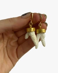 Coral Earrings II