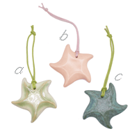 Image 2 of Ancient Starfish