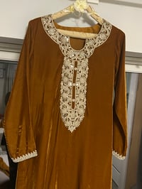 Image 4 of Rust  velvet 