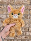 Orange Tabby PRE ORDER