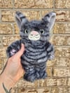 Gray Tabby PRE ORDER