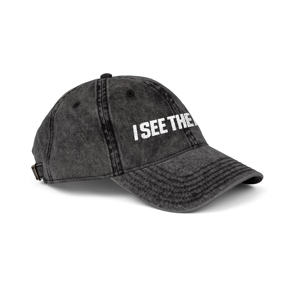 Image of Unisex Embroidered Vintage Cap — "I SEE THE ENVY" Distressed Dad Hat