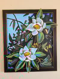 Twin magnolias