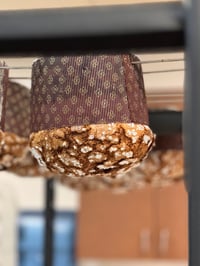 Image 2 of Sole di Albicocca