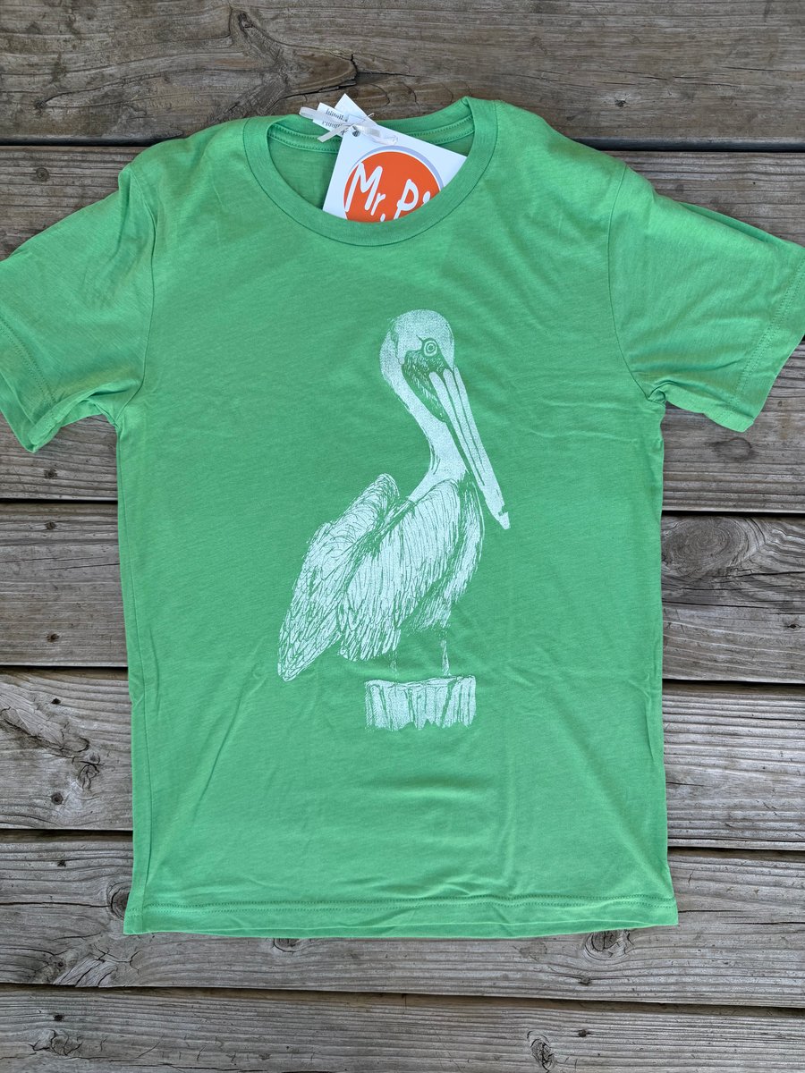 Image of Adult Pelican Tee on Green 