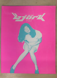 Bjork Print Pink