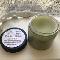 Image 5 of Plantain Salve 2 oz Glass Jar