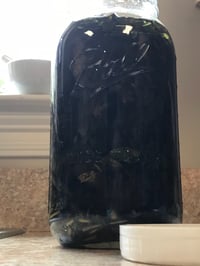 Image 4 of Plantain Salve 2 oz Glass Jar