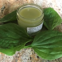 Image 2 of Plantain Salve 2 oz Glass Jar