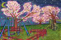 Image 1 of Playground at Night