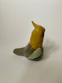 Image 3 of Pottery cockatiel