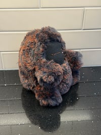 Image 4 of POMPOM
