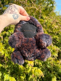 Image 3 of POMPOM