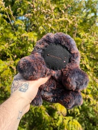 Image 5 of POMPOM