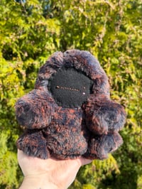 Image 1 of POMPOM