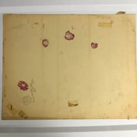 Image 2 of 1976 hand colored Spaulding & Roger’s production flash sheet flowers 11x14