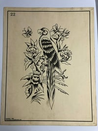 Image 1 of 1983 Spaulding & Roger’s production flash sheet parrot 11x14