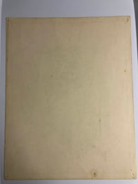 Image 2 of 1983 Spaulding & Roger’s production flash sheet parrot 11x14