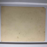 Image 2 of 1976 Spaulding & Roger’s production flash sheet flowers 