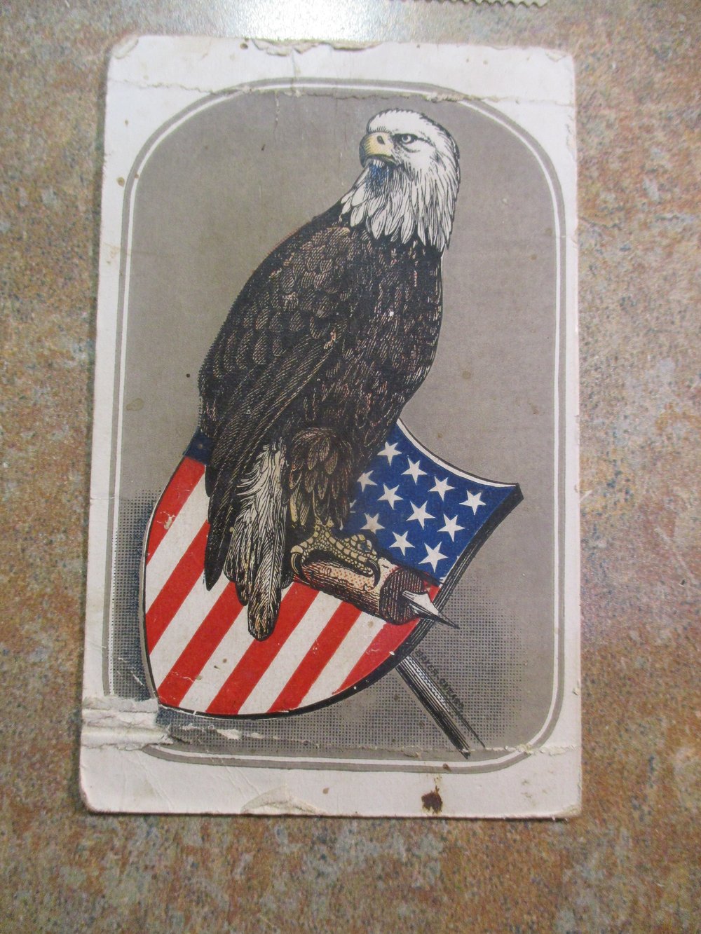 HEART-WARMING STORY OF THE CIVIL WAR-- OLD ABE THE EAGLE, WHO WENT THROUGH 3 YEARS OF BATTLES  