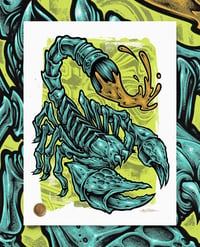 Image 1 of Skorpion Painter