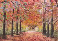 Image 1 of Autumn Stroll In Beechworth