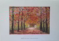 Image 2 of Autumn Stroll In Beechworth