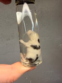 Image 3 of Fuzzy Mouse