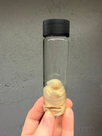 Image 2 of  Fuzzy Mouse