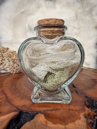 Image 1 of  Corn Snake Shed