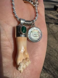 Image 5 of Primavera 