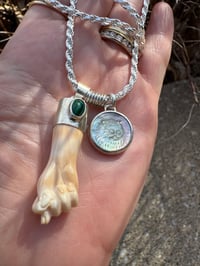 Image 7 of Primavera 