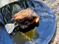 Image 4 of Brown toad charm 