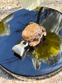 Image 10 of Brown toad charm 