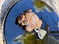 Image 11 of Brown toad charm 
